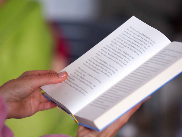 mb_pa041245.jpg mb_pa041245.jpg